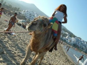 Picture of Z. Gillerra riding a camel on the Plage de Cabo Negro in Tetouan, Morocco.